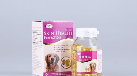 一分钟看懂狗狗皮肤病狗狗皮肤病如何治疗