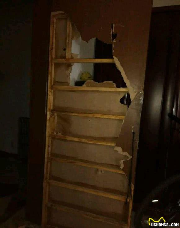 怕哈士奇拆家把它关在门外，下班回家发现门上一个大洞