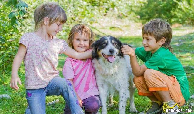 国外狗的趣闻，你听说过吗?