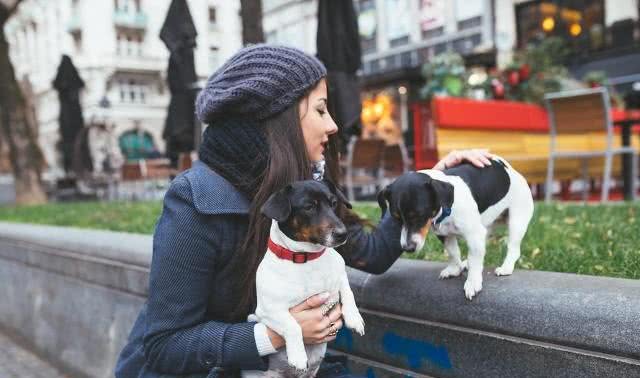 国外狗的趣闻，你听说过吗?