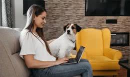 国外狗的趣闻，你听说过吗?