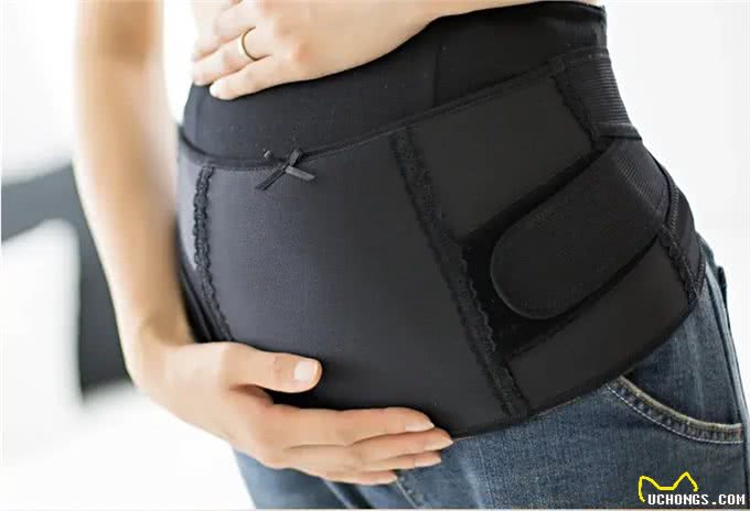 金毛扑孕妇致流产，牵绳之责难辞，宠物管理与生命尊重引人深思