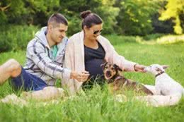 金毛扑孕妇致流产，牵绳之责难辞，宠物管理与生命尊重引人深思