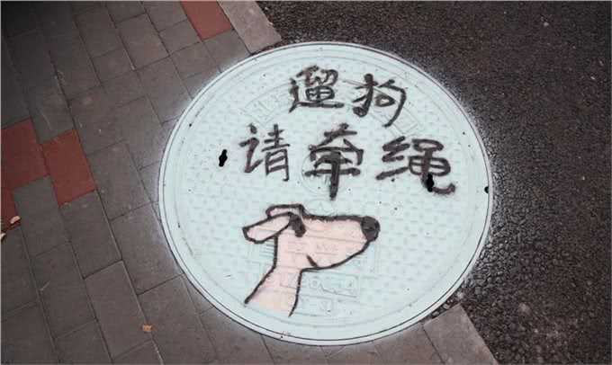 家庭养犬成为犬主一种情感寄托的同时，也是一种危害