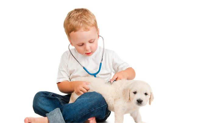 家庭养犬成为犬主一种情感寄托的同时，也是一种危害