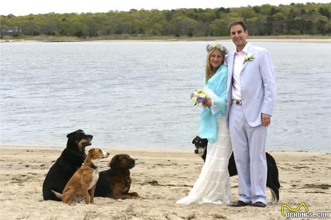 你是我今生的幸运币与15岁爱犬的最后道别