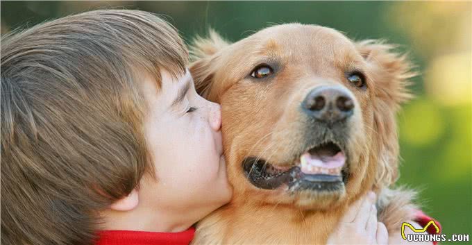 主人亲吻狗狗，狗狗能感受到爱意吗?关于狗狗如何理解主人的亲吻