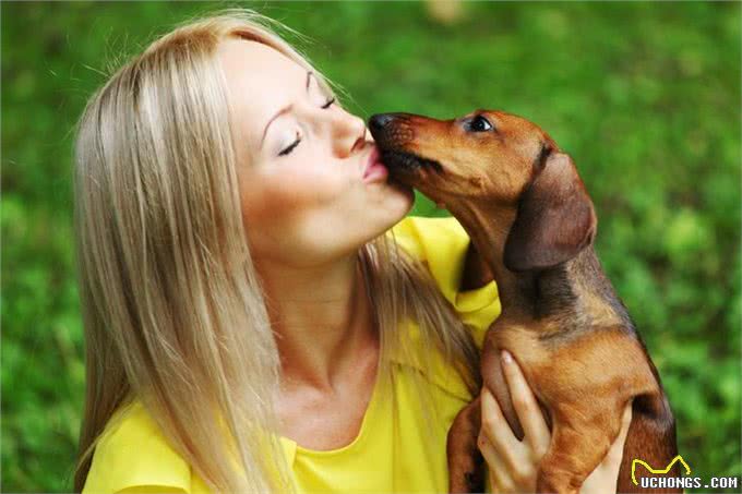 主人亲吻狗狗，狗狗能感受到爱意吗?关于狗狗如何理解主人的亲吻