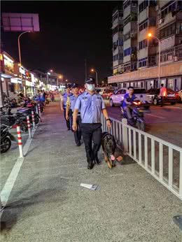 驯犬员陈定锋和他的小兄弟们