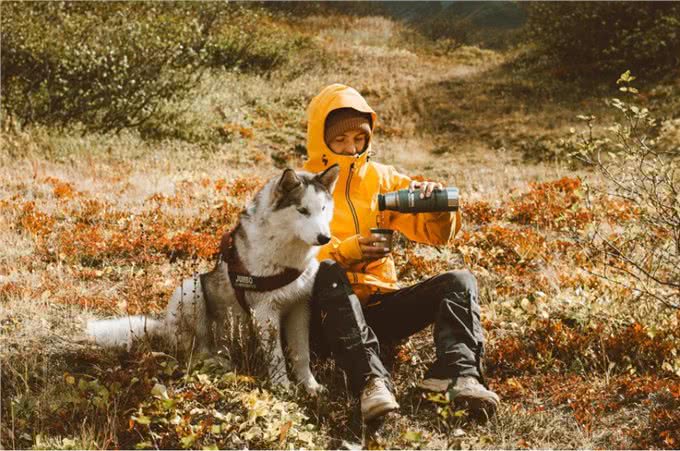 可以与狗狗一起训练的7项运动