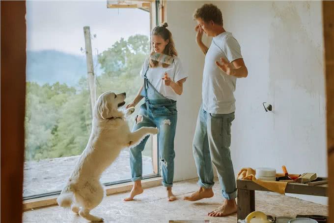 可以与狗狗一起训练的7项运动