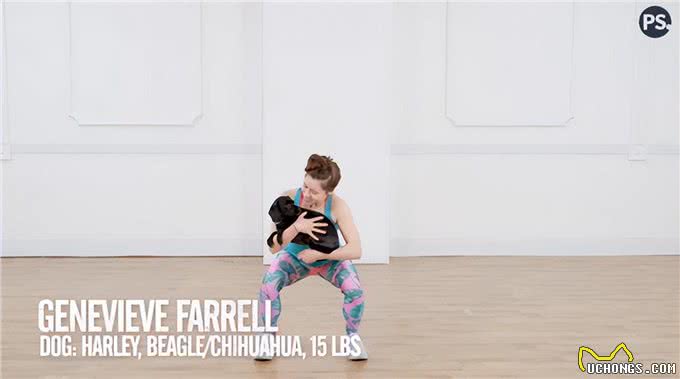 可以与狗狗一起训练的7项运动