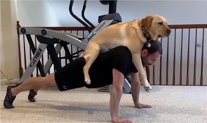 可以与狗狗一起训练的7项运动