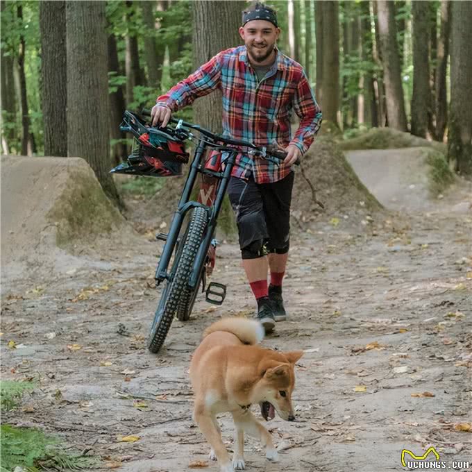 可以与狗狗一起训练的7项运动