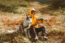 可以与狗狗一起训练的7项运动