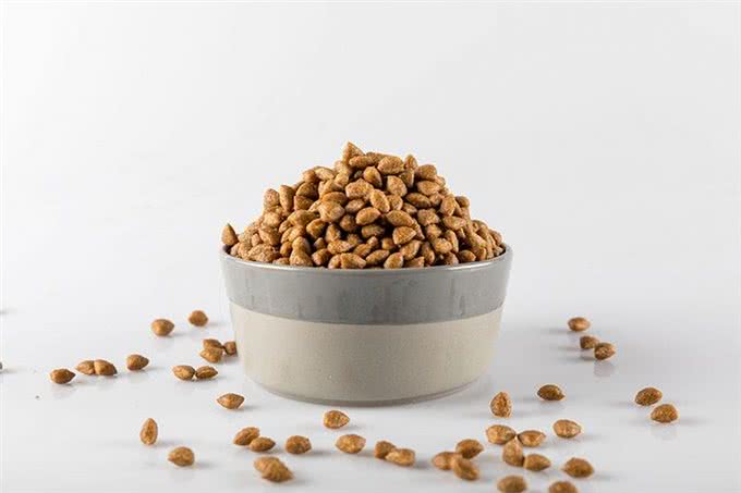 蛋白质过高或过低的狗粮，对狗狗都有危害