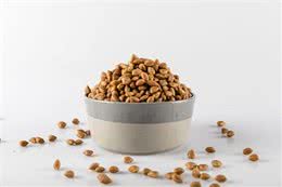 蛋白质过高或过低的狗粮，对狗狗都有危害