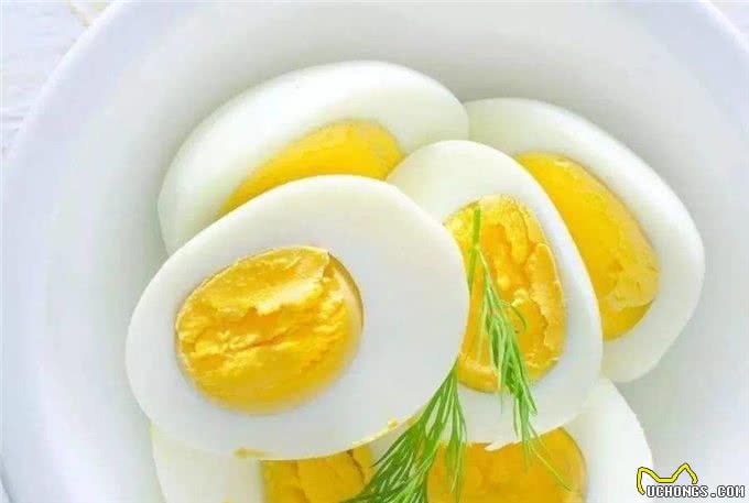 第一次养狗你需要知道的真实事情，避免迷路