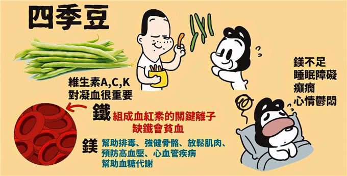 15个让狗狗健康的超级食物(狗狗暖知识)