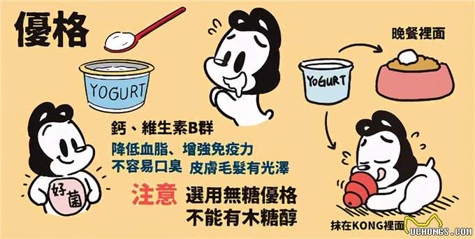 15个让狗狗健康的超级食物(狗狗暖知识)