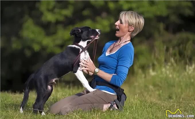 俗话说养狗能改命?原来是有科学依据的，不忽悠你