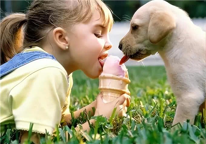 俗话说养狗能改命?原来是有科学依据的，不忽悠你