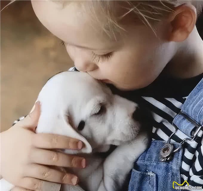 俗话说养狗能改命?原来是有科学依据的，不忽悠你