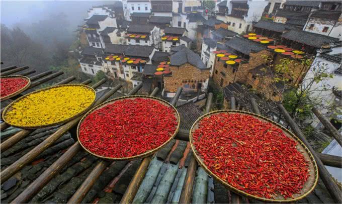 从不服周省到阿卡林省，背后都有怎样有趣的地域梗?