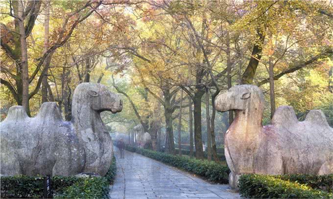 从不服周省到阿卡林省，背后都有怎样有趣的地域梗?