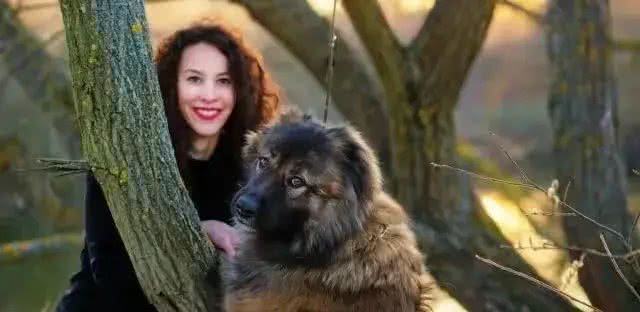 揭秘全球最凶残狗狗：杜高犬、南非獒犬等五大犬种上榜