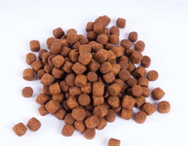 狗狗多大吃干狗粮喂食狗狗的正确做法