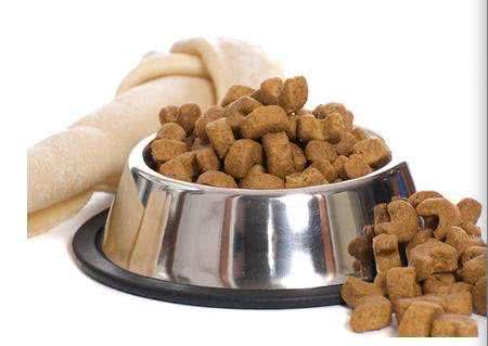 狗狗多大吃干狗粮喂食狗狗的正确做法