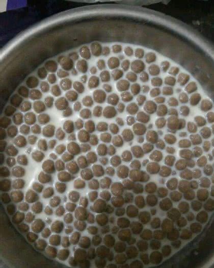 狗狗多大吃干狗粮喂食狗狗的正确做法