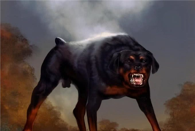 罗威纳这么凶，为何还那么多人说想养呢?