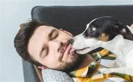 真正爱狗的人，其实都会有这些特征