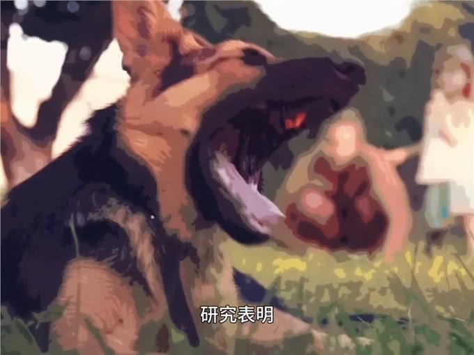 被家里的宠物狗舔到伤口，就要被迫锯掉四肢?—动物