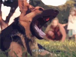 被家里的宠物狗舔到伤口，就要被迫锯掉四肢?—动物