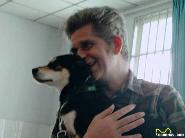 美国人花几万带回国的名贵狗，在中国俩条15元还没人要!