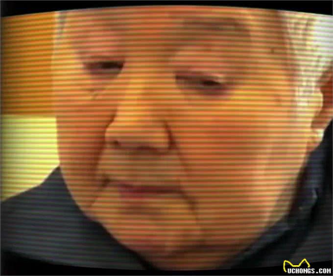 奇迹!国外一只19岁患有痴呆症的狗狗在见到主人后竟然恢复记忆了