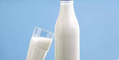 狗狗真的可以喝牛奶吗?