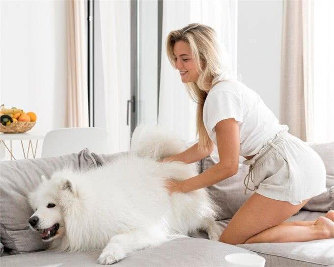 养狗后家里都是狗毛?怎么解决家里的狗狗掉毛严重的问题