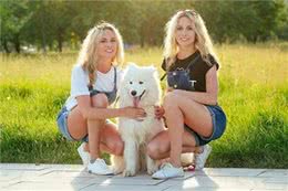 养狗后家里都是狗毛?怎么解决家里的狗狗掉毛严重的问题