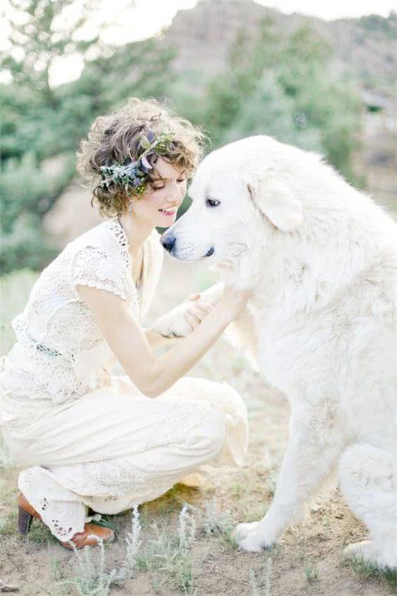 身高近1米!这些大型犬都是天花板级的存在（上）