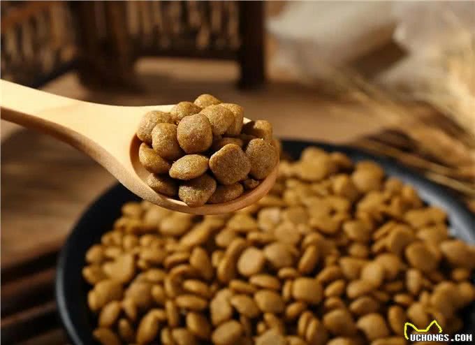 双十一挑选优质狗粮，看这一篇就够了!