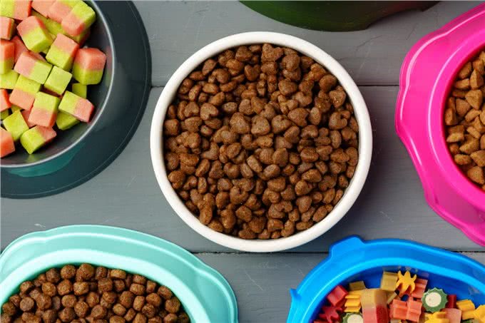 双十一挑选优质狗粮，看这一篇就够了!