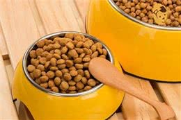 双十一挑选优质狗粮，看这一篇就够了!