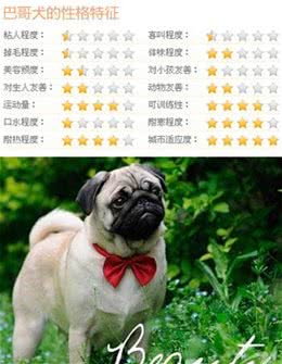 隐藏的贵族细数身边五大中华名犬