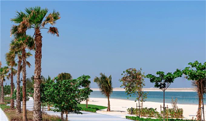 铲屎官看过来!为你推荐阿联酋6大狗狗友好海滩