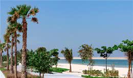 铲屎官看过来!为你推荐阿联酋6大狗狗友好海滩