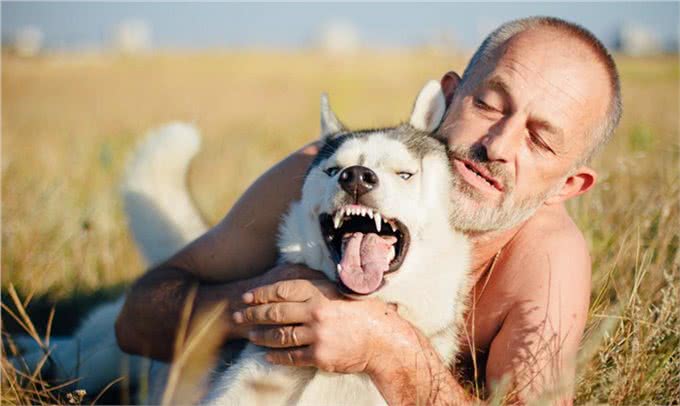 宠物上了年纪会变挑食?给宠物挑选狗粮，有什么注意事项吗?